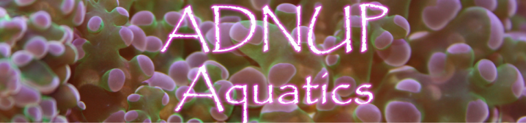 ADNUP Aquatics